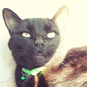 Meet your Posher, Zoe